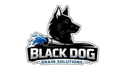 Black Dog Drain Solutions
