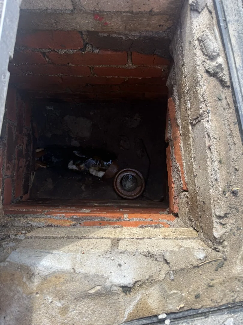 CCTV Drain Inspection Bridgend, Cardiff and Port Talbot